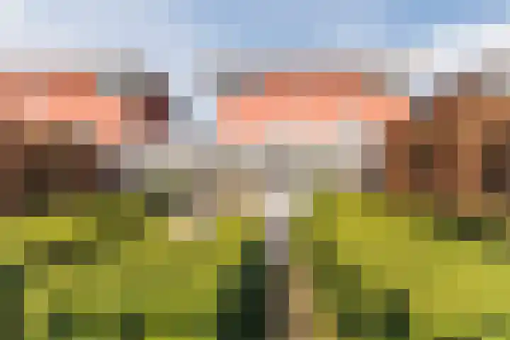 Gandalf 41 Geldrop thumbnail 42