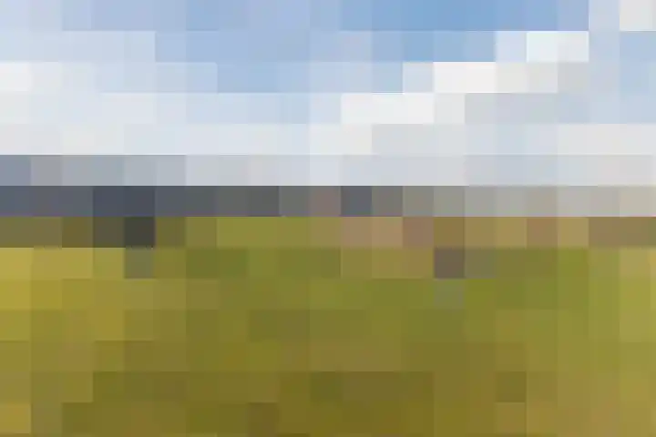 Gandalf 41 Geldrop thumbnail 46