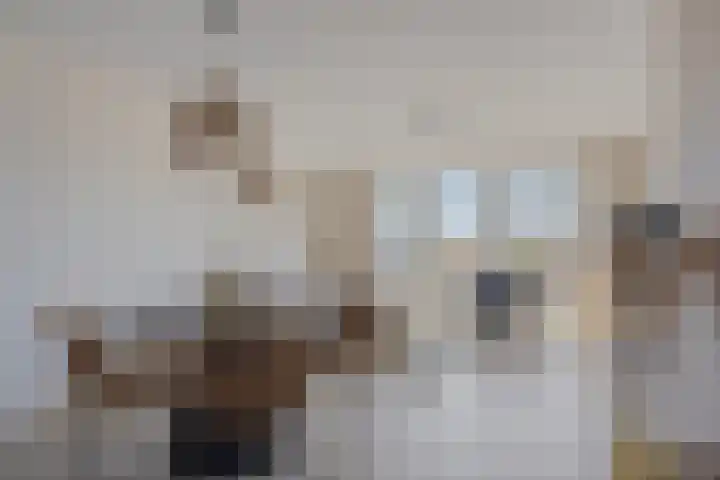Gandhilaan 17 Delft thumbnail 14