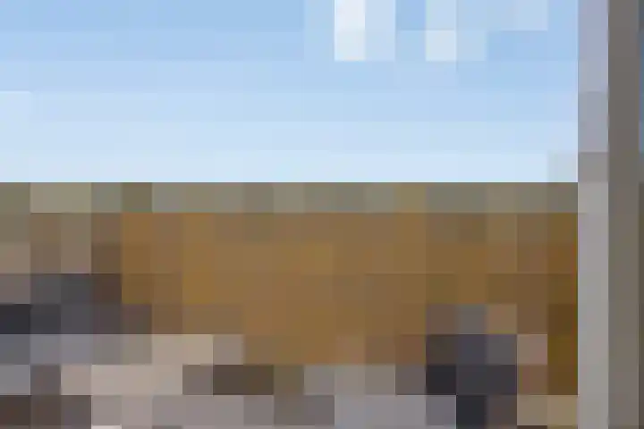 Gandhilaan 17 Delft thumbnail 20