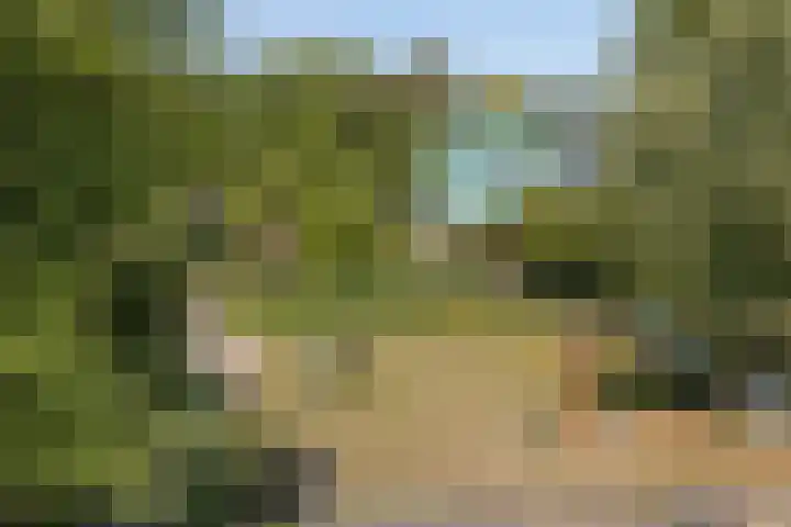 Gandhilaan 17 Delft thumbnail 22