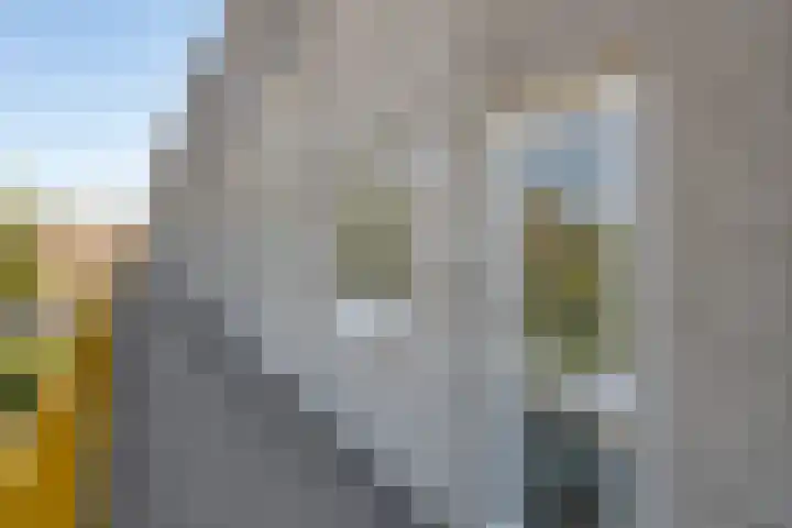 Gandhilaan 17 Delft thumbnail 4