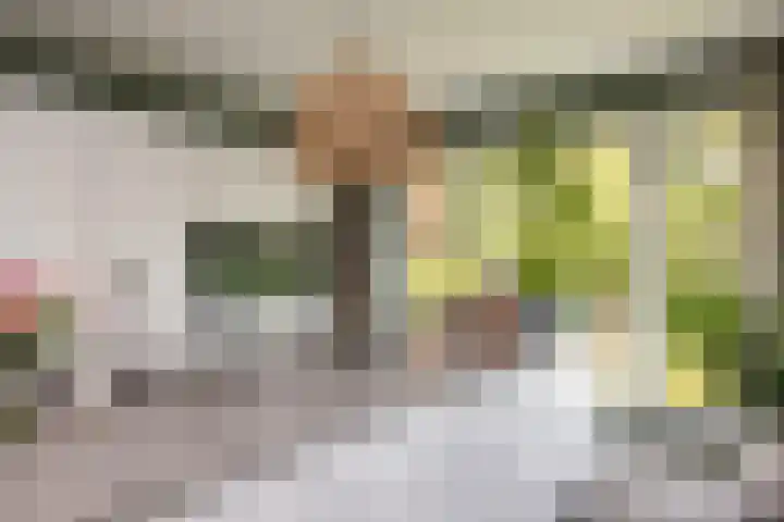Gandhilaan 2 Amersfoort thumbnail 11