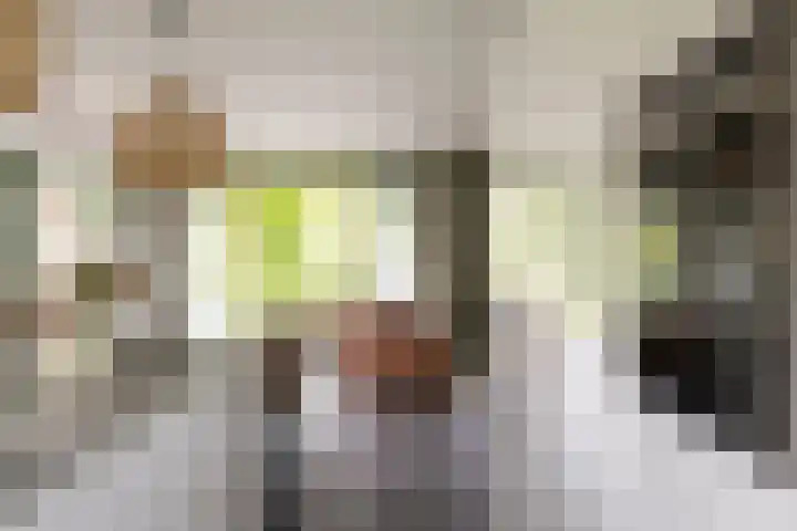 Gandhilaan 2 Amersfoort thumbnail 12