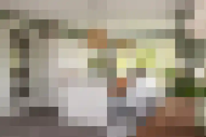 Gandhilaan 2 Amersfoort thumbnail 13