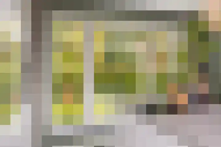 Gandhilaan 2 Amersfoort thumbnail 14