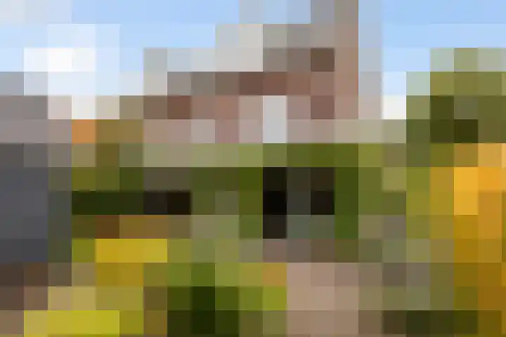 Gandhilaan 2 Amersfoort thumbnail 15