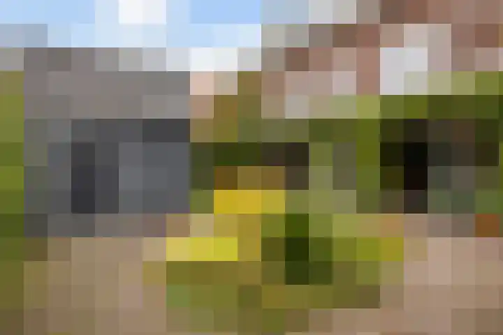 Gandhilaan 2 Amersfoort thumbnail 17
