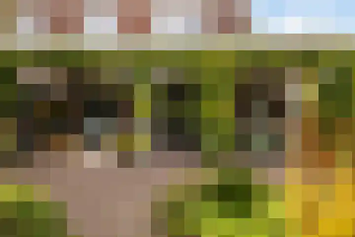 Gandhilaan 2 Amersfoort thumbnail 18