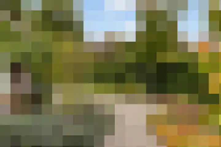Gandhilaan 2 Amersfoort thumbnail 21
