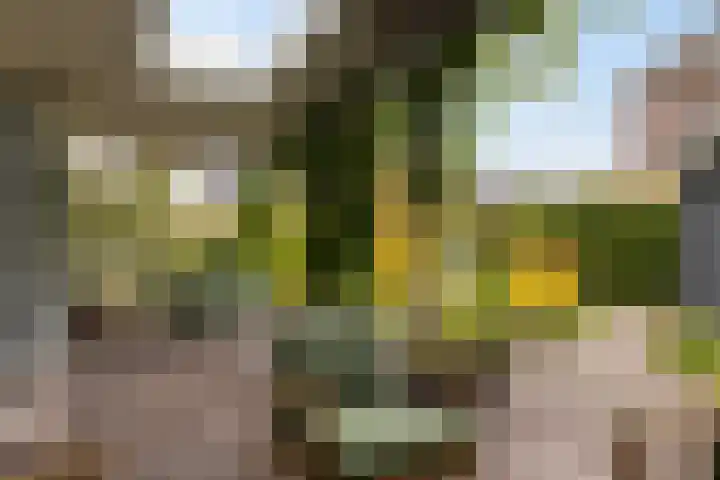 Gandhilaan 2 Amersfoort thumbnail 23