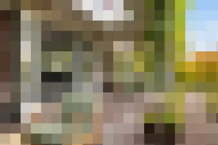 Gandhilaan 2 Amersfoort thumbnail 24