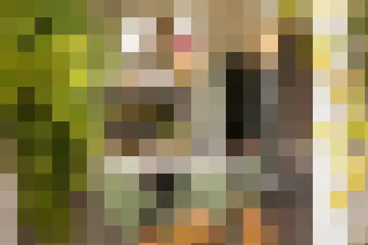 Gandhilaan 2 Amersfoort thumbnail 25