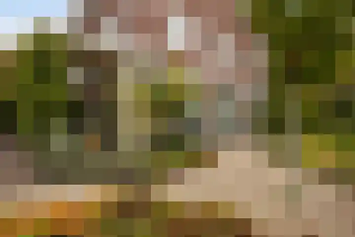 Gandhilaan 2 Amersfoort thumbnail 26