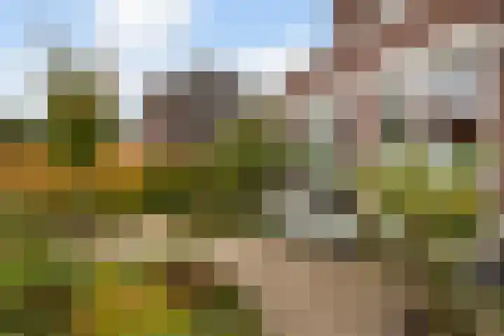 Gandhilaan 2 Amersfoort thumbnail 27