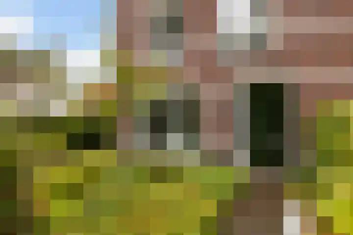 Gandhilaan 2 Amersfoort thumbnail 28