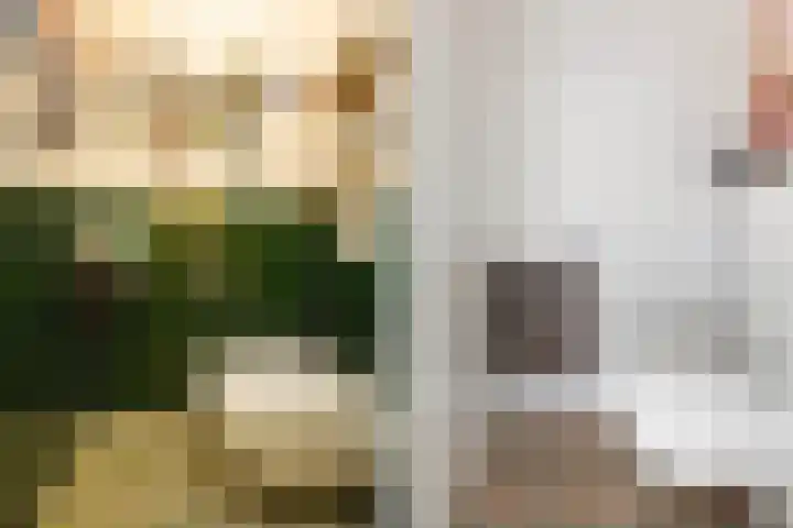 Gandhilaan 2 Amersfoort thumbnail 30