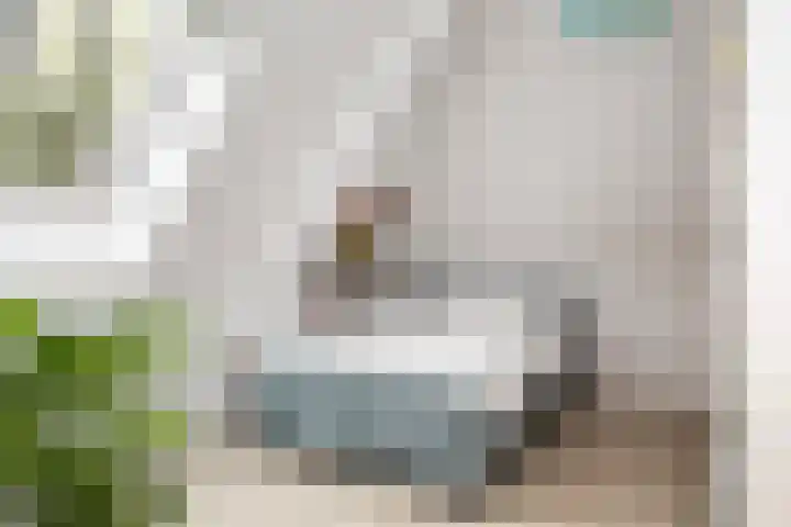 Gandhilaan 2 Amersfoort thumbnail 38