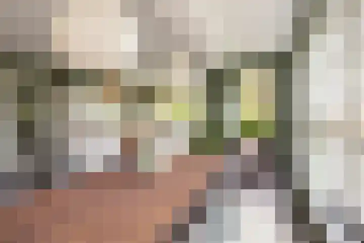 Gandhilaan 2 Amersfoort thumbnail 4