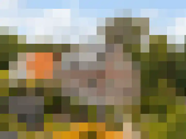 Gandhilaan 2 Amersfoort thumbnail 40