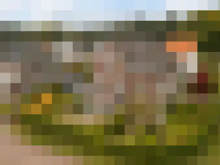 Gandhilaan 2 Amersfoort thumbnail 41