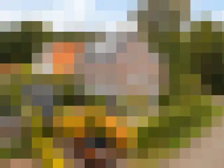 Gandhilaan 2 Amersfoort thumbnail 42