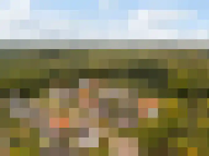 Gandhilaan 2 Amersfoort thumbnail 44