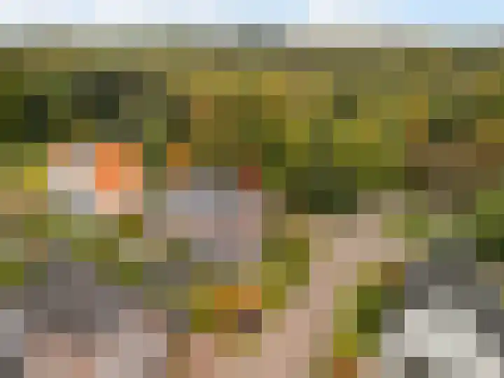 Gandhilaan 2 Amersfoort thumbnail 45