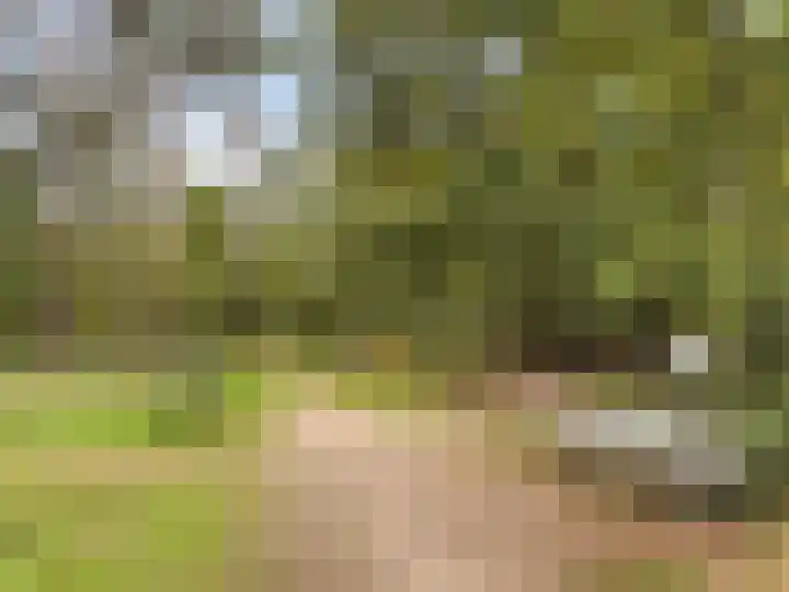 Gandhilaan 2 Amersfoort thumbnail 46