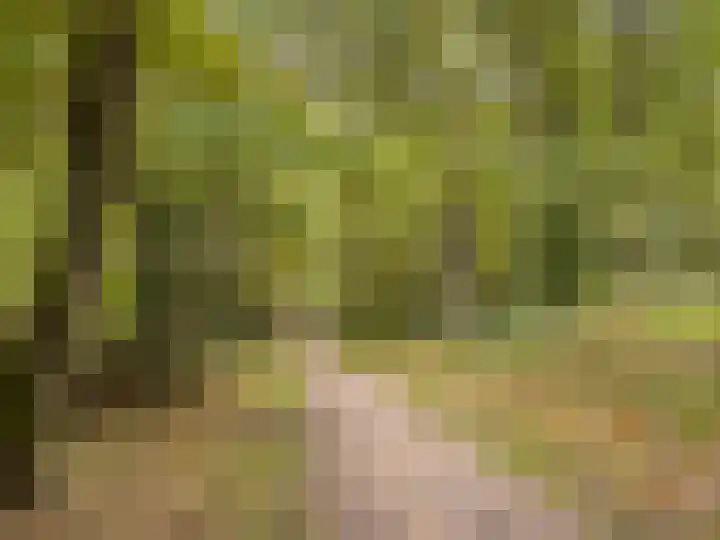 Gandhilaan 2 Amersfoort thumbnail 47