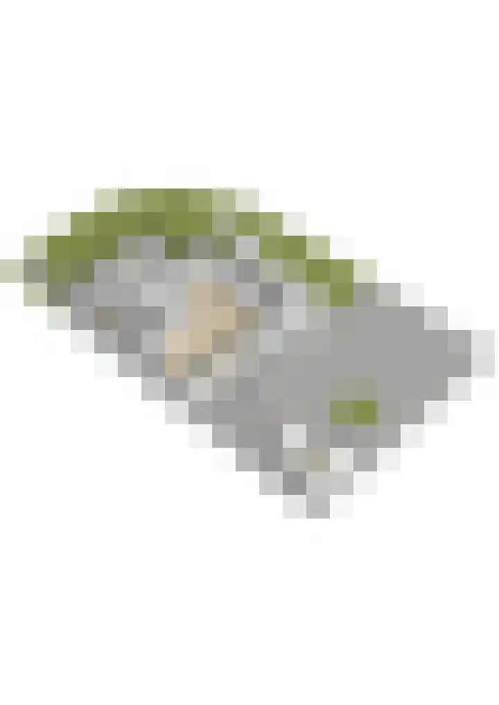Gandhilaan 2 Amersfoort thumbnail 59