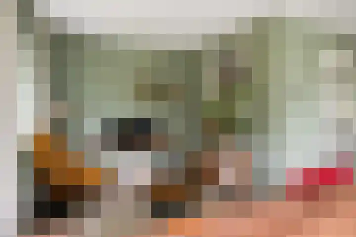 Gandhilaan 2 Amersfoort thumbnail 6