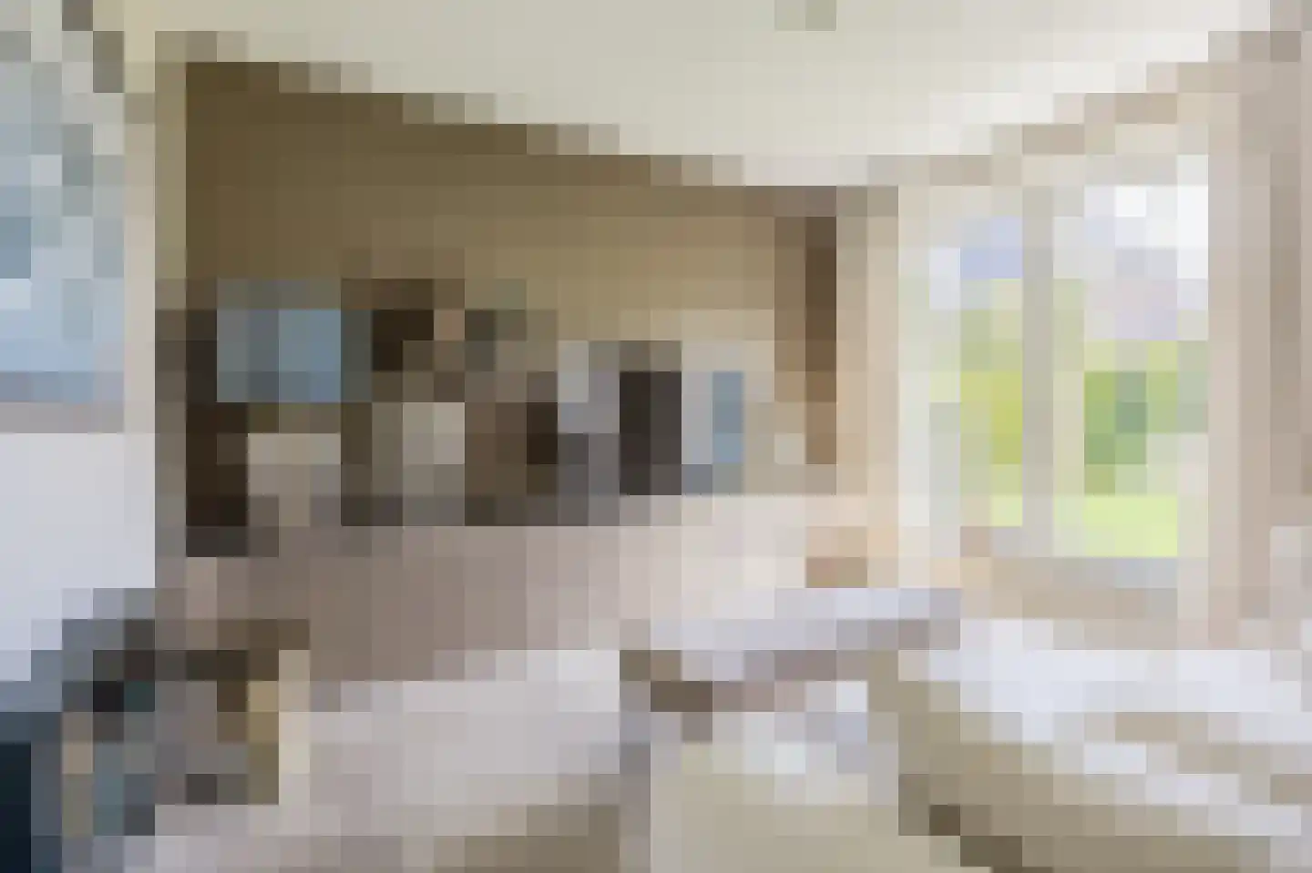 Gandhilaan 22 Amersfoort thumbnail 31