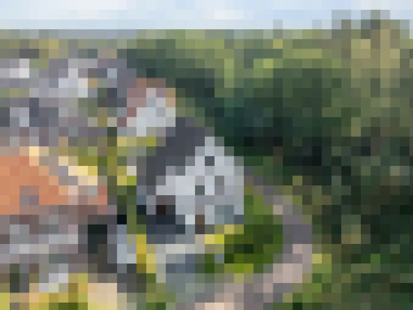 Gandhilaan 22 Amersfoort thumbnail 86