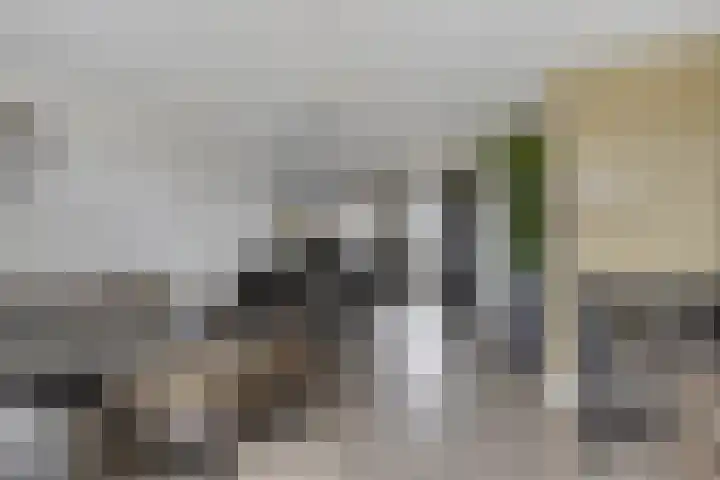 Gandhilaan 22 Delft thumbnail 15