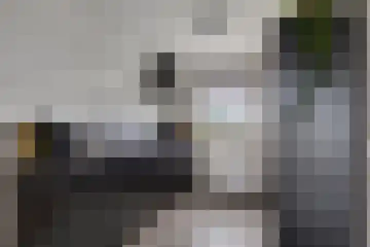Gandhilaan 22 Delft thumbnail 17