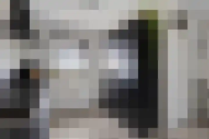 Gandhilaan 22 Delft thumbnail 19