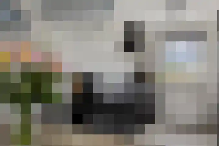Gandhilaan 22 Delft thumbnail 23