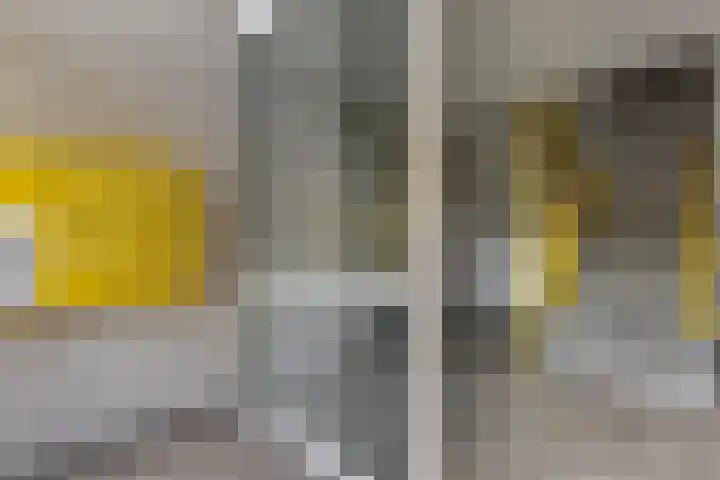 Gandhilaan 22 Delft thumbnail 24