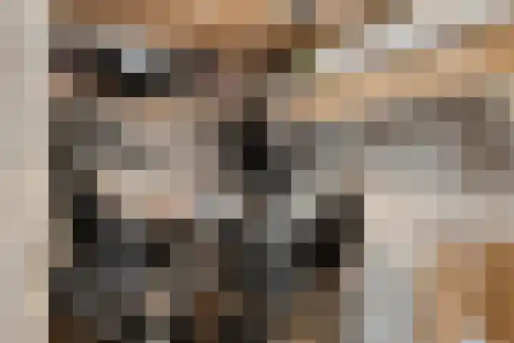 Gandhilaan 22 Delft thumbnail 27