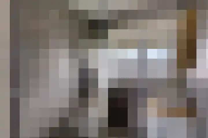 Gandhilaan 22 Delft thumbnail 9