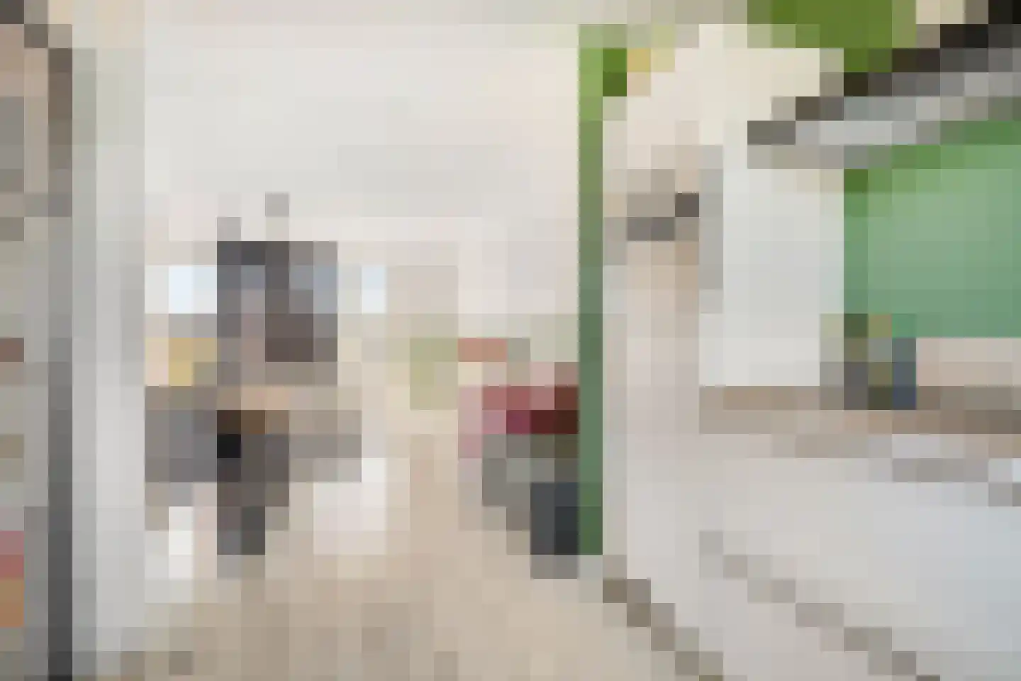 Gandhilaan 23 Delft thumbnail 15