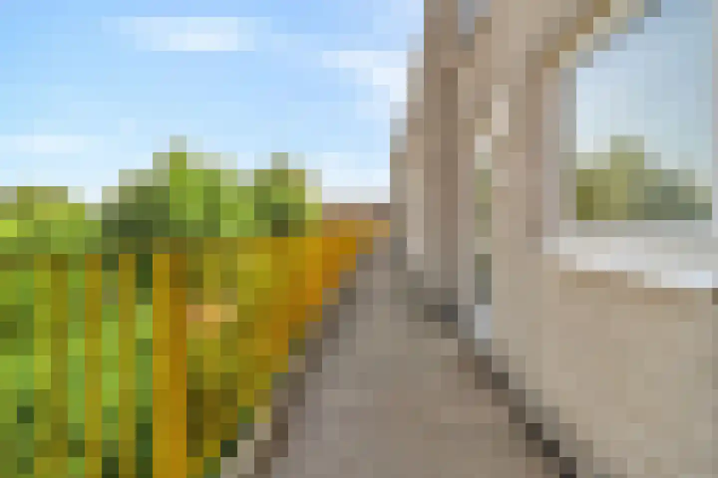 Gandhilaan 23 Delft thumbnail 18