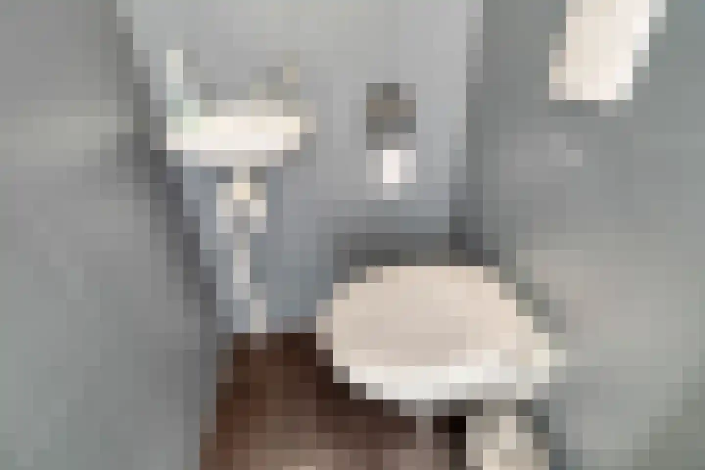 Gandhilaan 23 Delft thumbnail 5