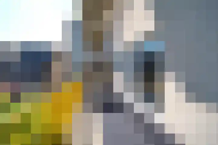 Gandhilaan 30 Delft thumbnail 14
