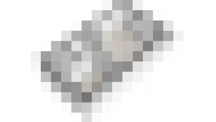 Gandhilaan 30 Delft thumbnail 28