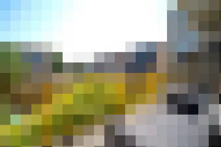 Gandhilaan 30 Delft thumbnail 5