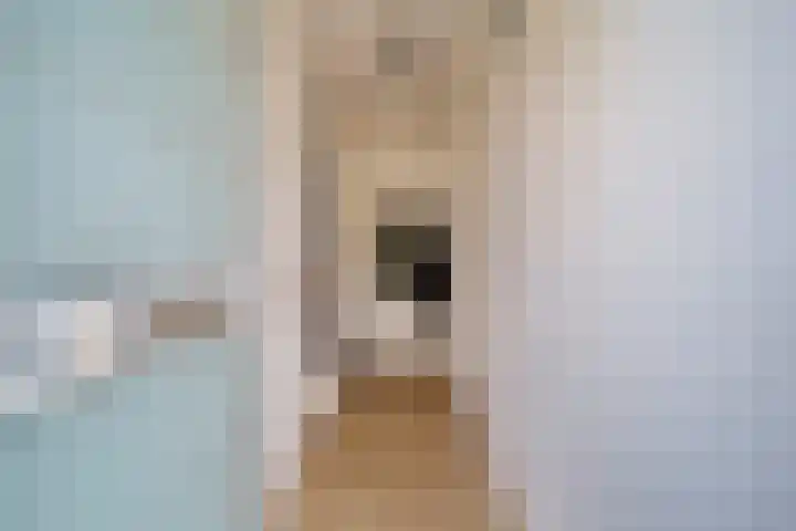Gandhilaan 30 Delft thumbnail 8