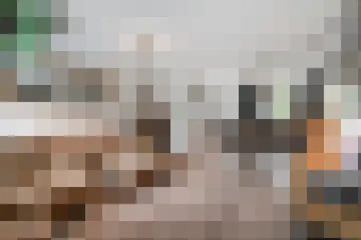 Gandhilaan 31 Delft thumbnail 10