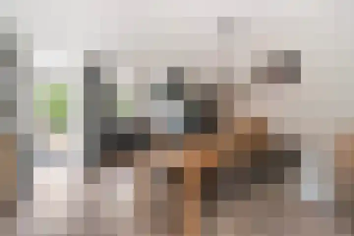 Gandhilaan 31 Delft thumbnail 13